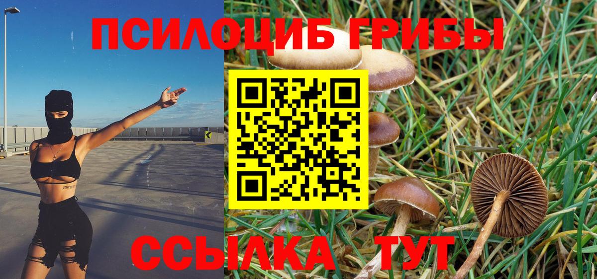 Псилоцибиновые грибы мухоморы Шадринск