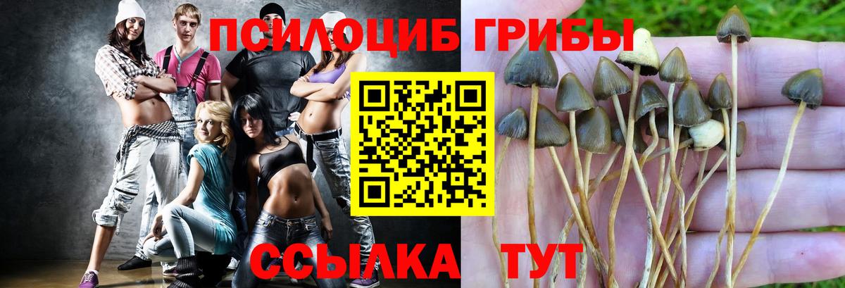 Галлюциногенные грибы Psilocybe  Вход с VPN  Псилоцибиновые грибы ЛСД  Шадринск 