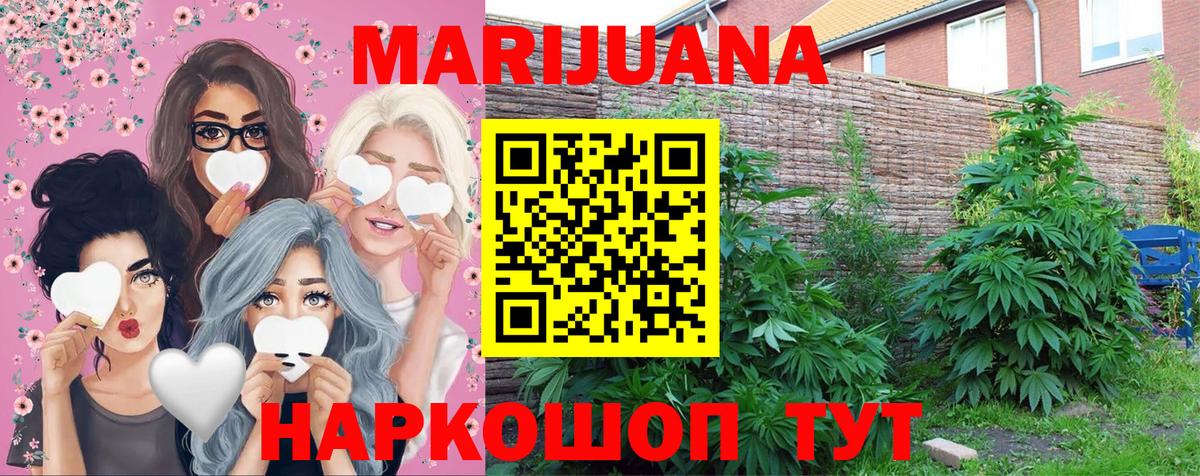 Конопля индика  Конопля индика  Шадринск  Шишки марихуана VHQ  Вход с VPN  Конопля VHQ 